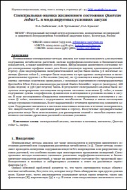 Уменьшенное изображение