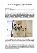 Уменьшенное изображение